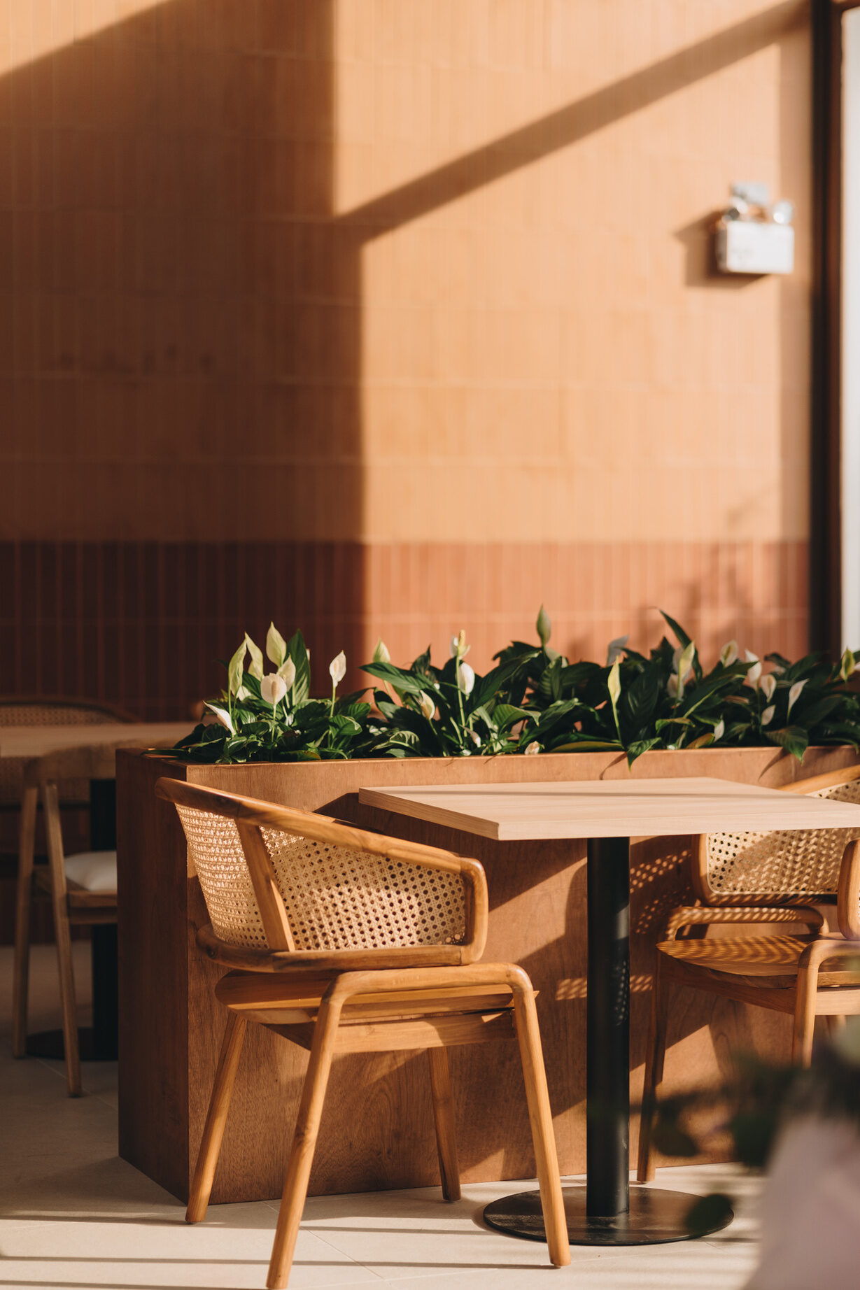 Inside Locals.hdy — wood, rattan, plants, natural light